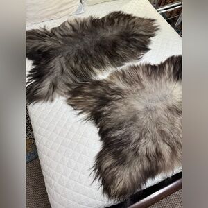 100% Icelandic Sheep Skin Rug - Fibre by Auskin 16May25